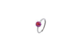 ANELLO PAULA