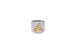 ANELLO FASCIA INIZIALE